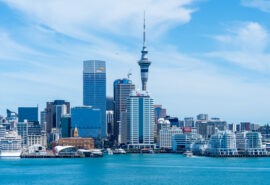 Wees location NZ